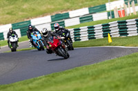 cadwell-no-limits-trackday;cadwell-park;cadwell-park-photographs;cadwell-trackday-photographs;enduro-digital-images;event-digital-images;eventdigitalimages;no-limits-trackdays;peter-wileman-photography;racing-digital-images;trackday-digital-images;trackday-photos